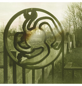 Night School Records Susannah Stark - Minor Gestures