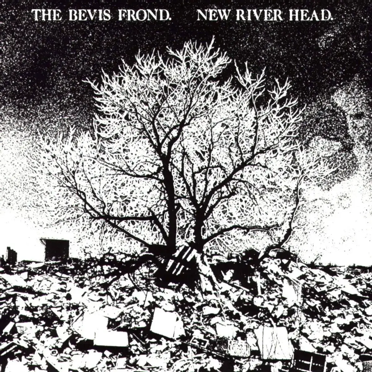 Fire Records The Bevis Frond - New River Head