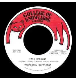 College of Knowledge Temporary Blessings - Fata Morgana b/w Silence Leaves an Open Wound