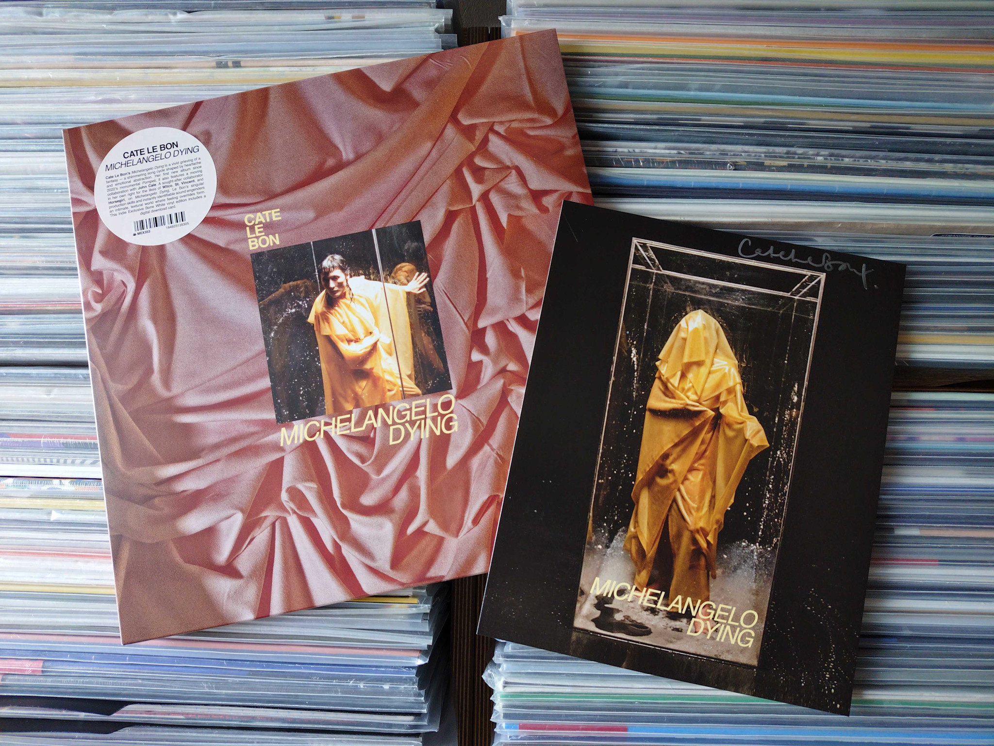 Mexican Summer Cate Le Bon - Michelangelo Dying (Bone White Vinyl) + SIGNED ART PRINT & TEST PRESSING COMPETITION