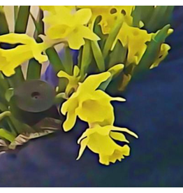 World Music dean blunt & Elias Rønnenfelt - Lucre