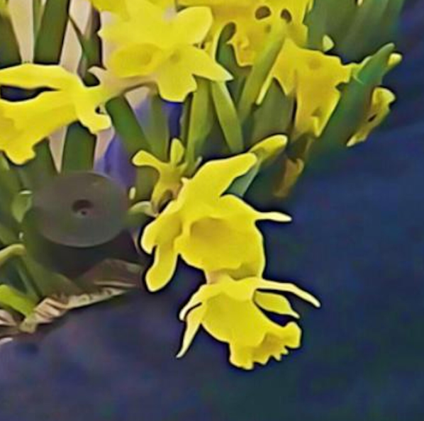 World Music dean blunt & Elias Rønnenfelt - Lucre