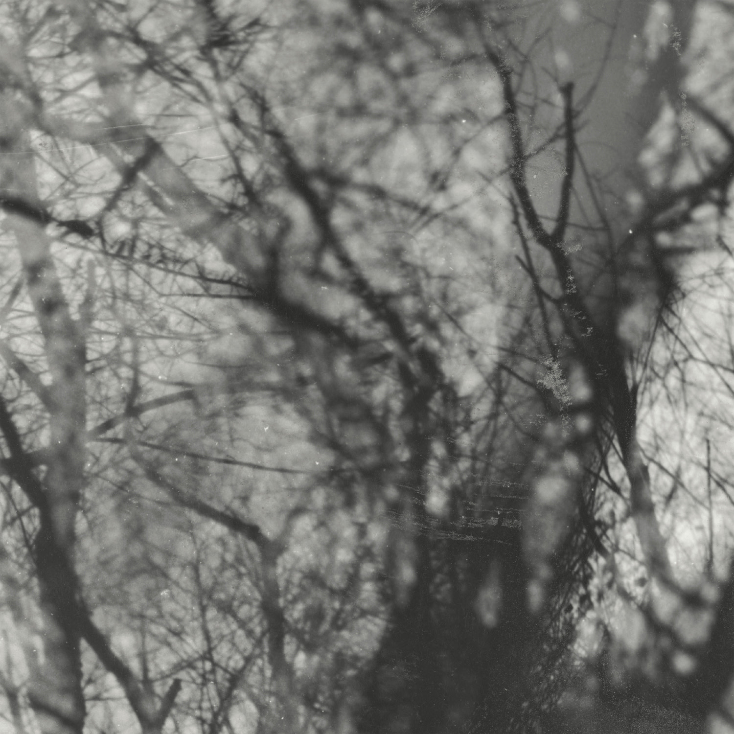 Kranky Grouper - Way Their Crept