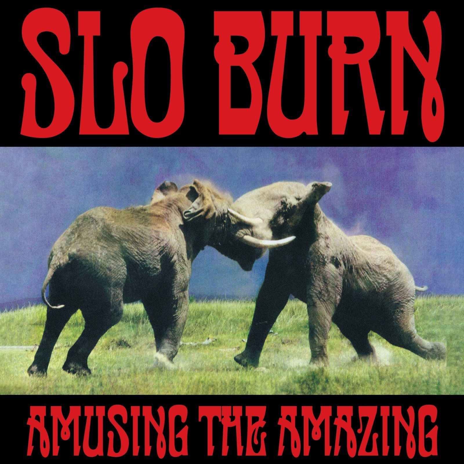 ORG Music Slo Burn - Amusing the Amazing [RSD BLACK FRIDAY 2025]