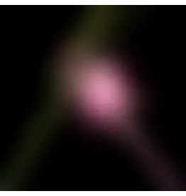 Island Records Various - Wicked For Good: The Soundtrack (Picture Disc) [RSD BLACK FRIDAY 2025]