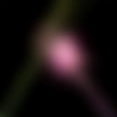 Island Records Various - Wicked For Good: The Soundtrack (Picture Disc) [RSD BLACK FRIDAY 2025]