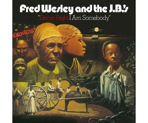 Fred Wesley And The JBs - Damn Right I Am Somebody | STP