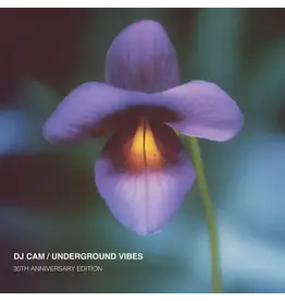 Diggers Factory DJ Cam - Underground Vibes (30th anniversary)