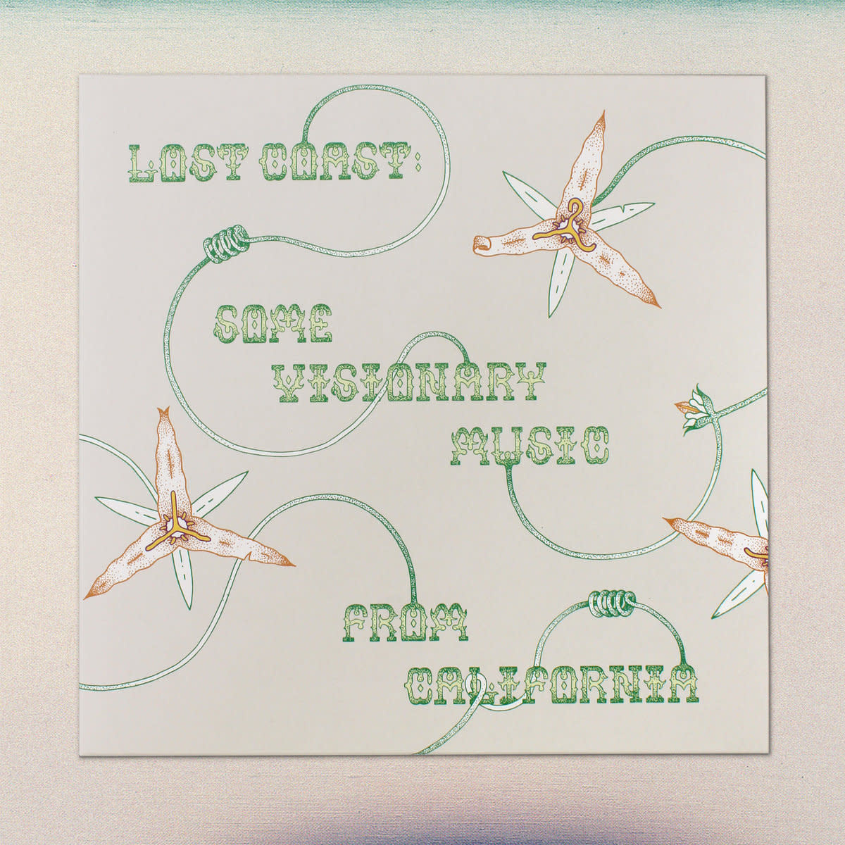 House Rules Various - Lost Coast: Some Visionary Music from California, 1980–1992