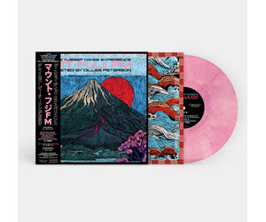 brownswood-recordings-the-