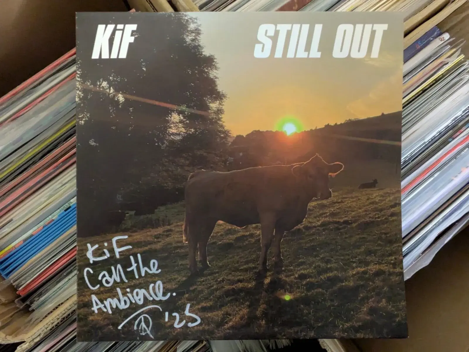 Sound Records SIGNED KiF - Still Out (Clear Vinyl + Insert) [AOTY25]