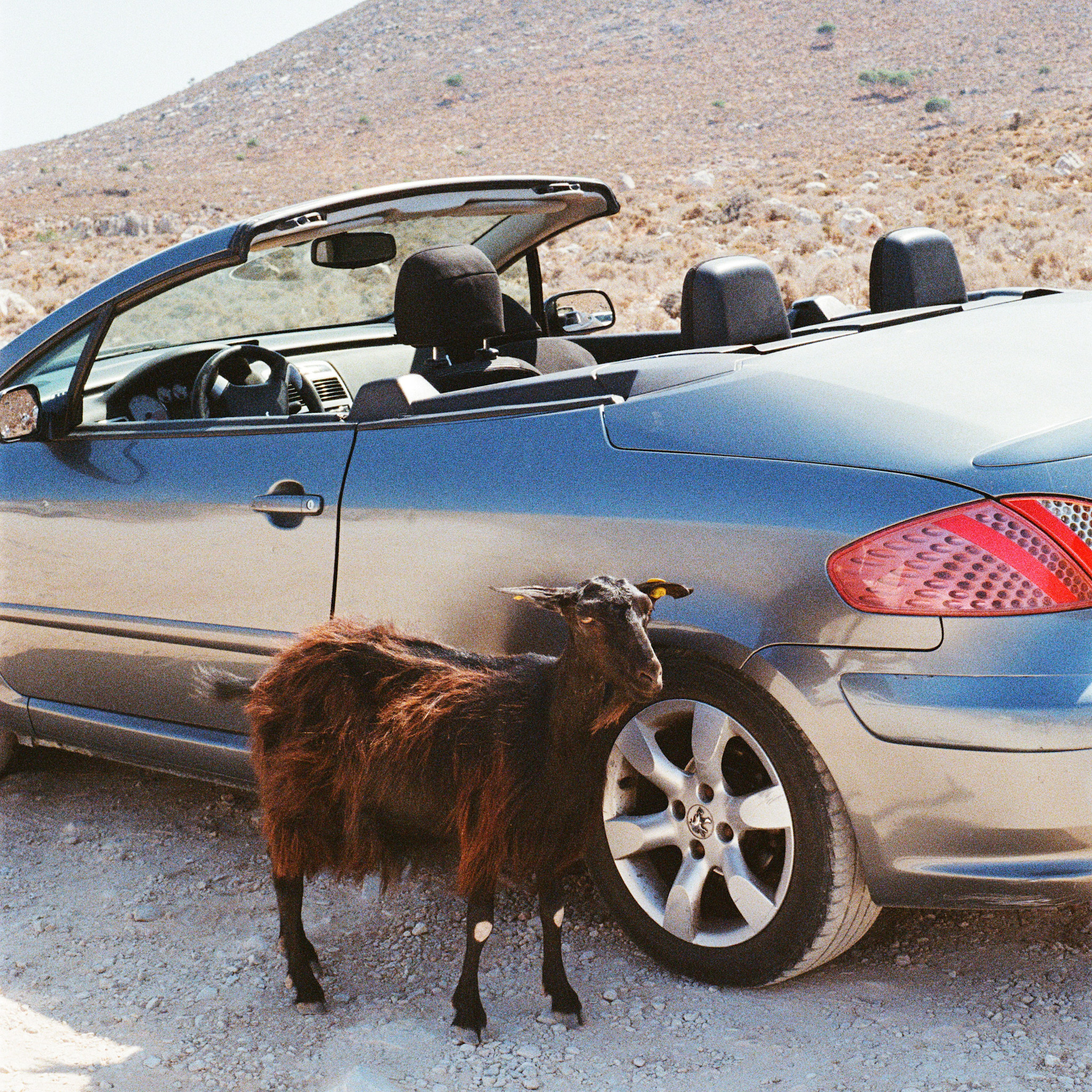 DFA EXEK - Prove The Mountains Move