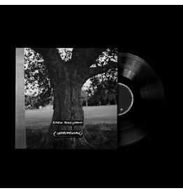 XL Recordings Archy Marshall - A New Place 2 Drown (Instrumentals)