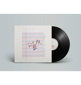 Western Vinyl Various - Passages: Artists in Solidarity with Immigrants, Refugees, and Asylum Seekers