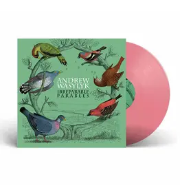 Clay Pipe Music Andrew Wasylyk - Irreparable Parables (Pink Vinyl)