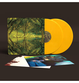 Sub Pop Records Band Of Horses - Everything All The Time (20th Anniversary Yellow Vinyl)