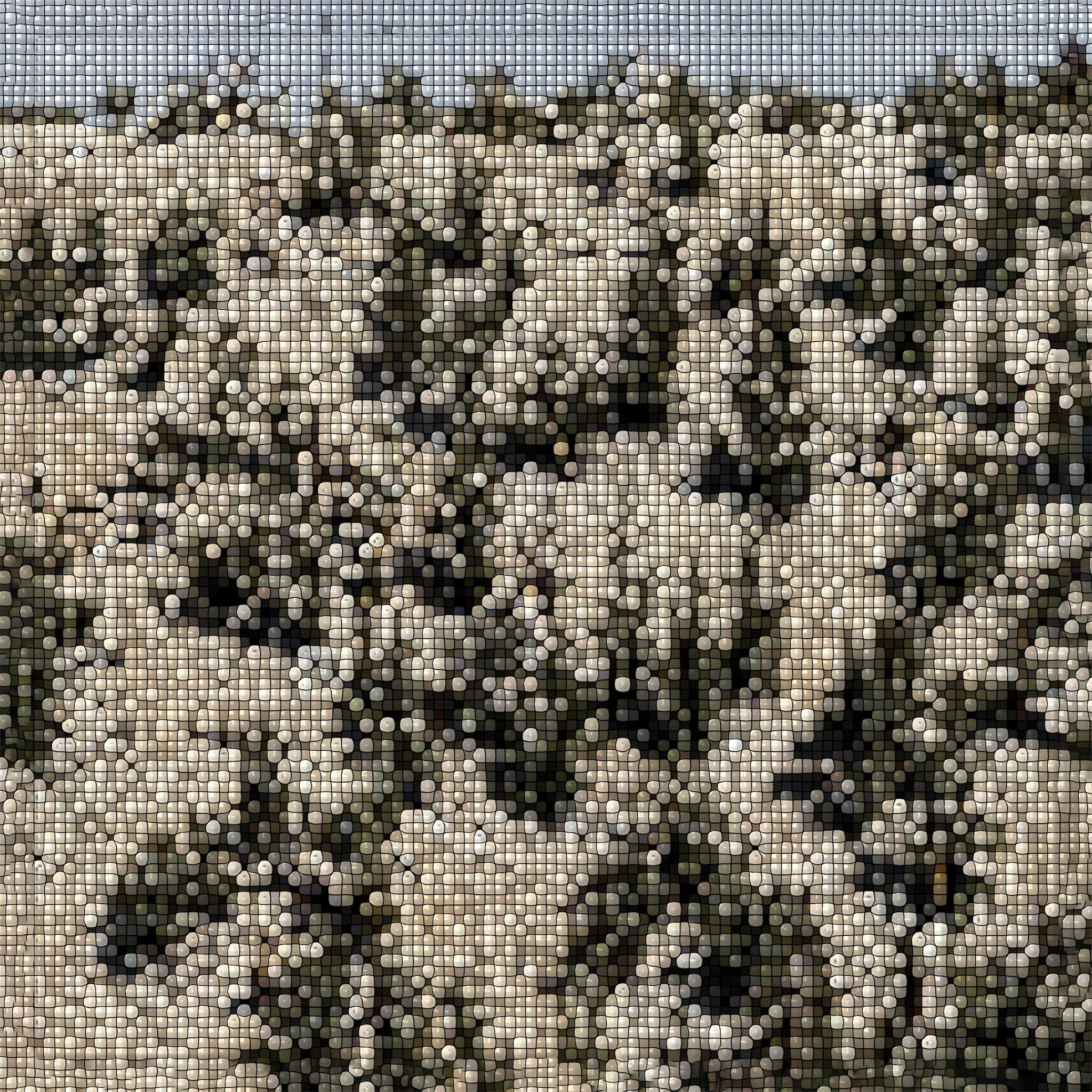 International Anthem Gregory Uhlmann - Extra Stars