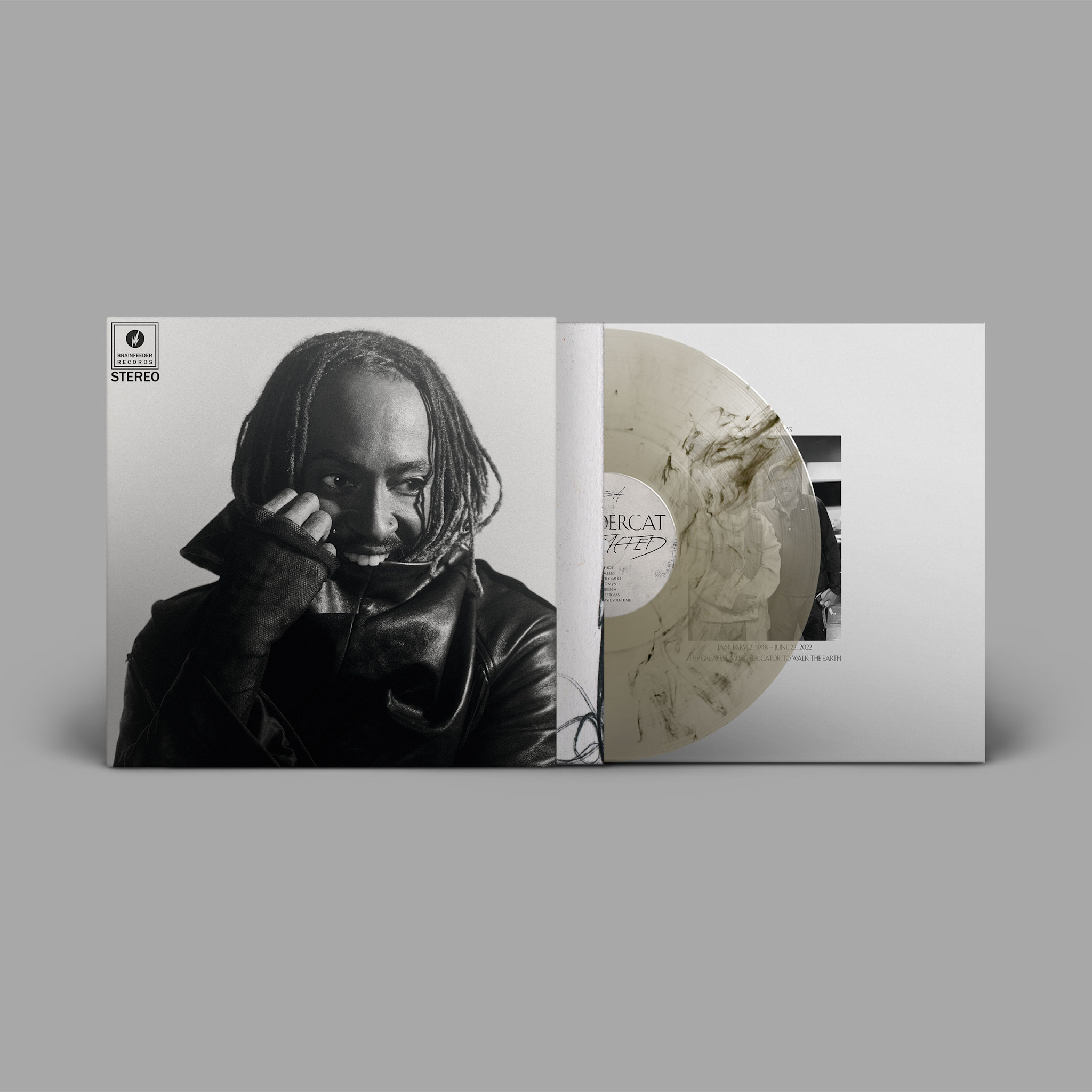 Brainfeeder Thundercat - Distracted (Smoke Vinyl)