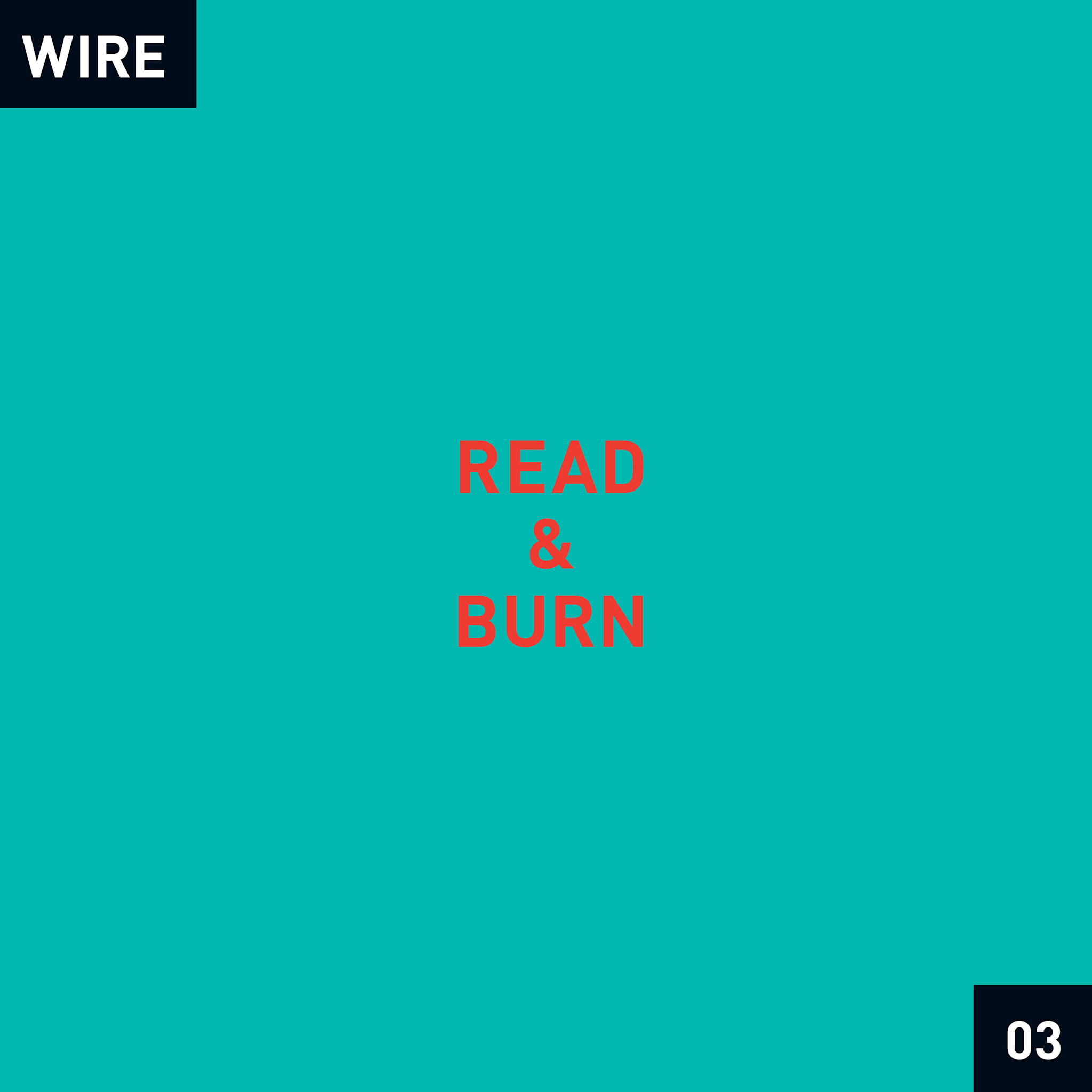 Pink Flag Wire - Read & Burn 03 + - [RSD26]
