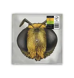 King Gizzard & The Lizard Wizard - Big Fig Wasp (Picture Disc) [RSD26]