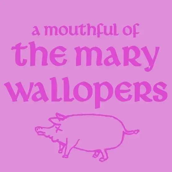 BC Records The Mary Wallopers - A Mouthful of Mary Wallopers [RSD26]