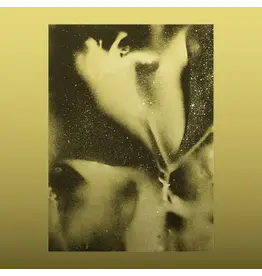 Brainfeeder Flying Lotus - 1983 [RSD26]