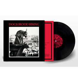 Cashen Gap Current 93 - Dogs Blood Rising