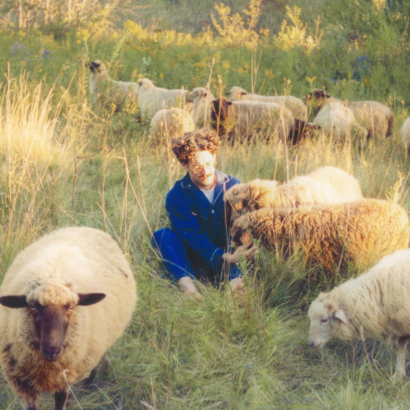 L'UNIVERS Resavoir - Themes For Dreams