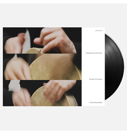 Latency Mohammad Reza Mortazavi - Swamp (Ricardo Villalobos Variation)