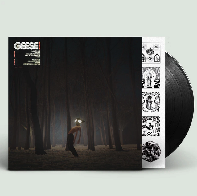 Partisan Records Geese - Projector