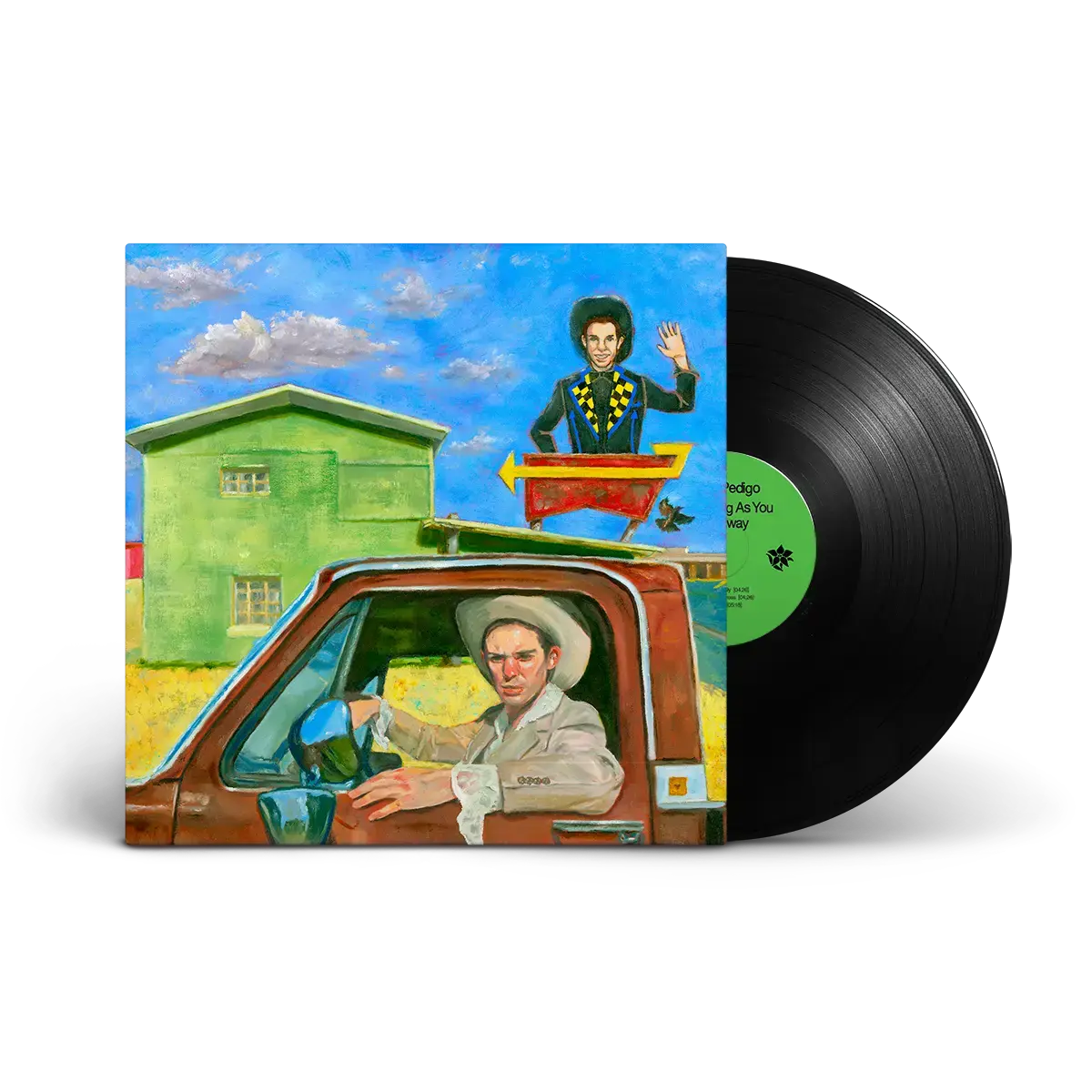 Mexican Summer Hayden Pedigo - I'll Be Waving As You Drive Away