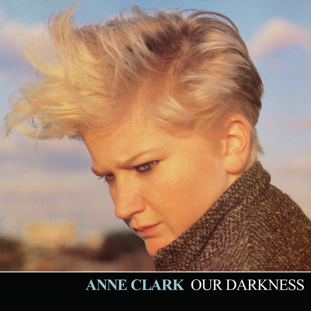 Dark Entries Anne Clark - Our Darkness