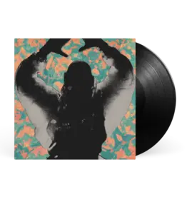 WRWTFWW Records Startled Insects - The Antenna Years