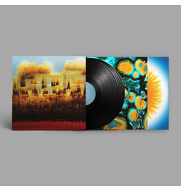 Ninja Tune Bonobo - Distance In Static