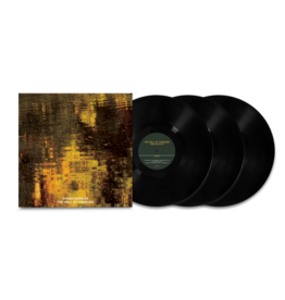 Late Music Sarah Davachi - The Will of Tongues + POSTCARD