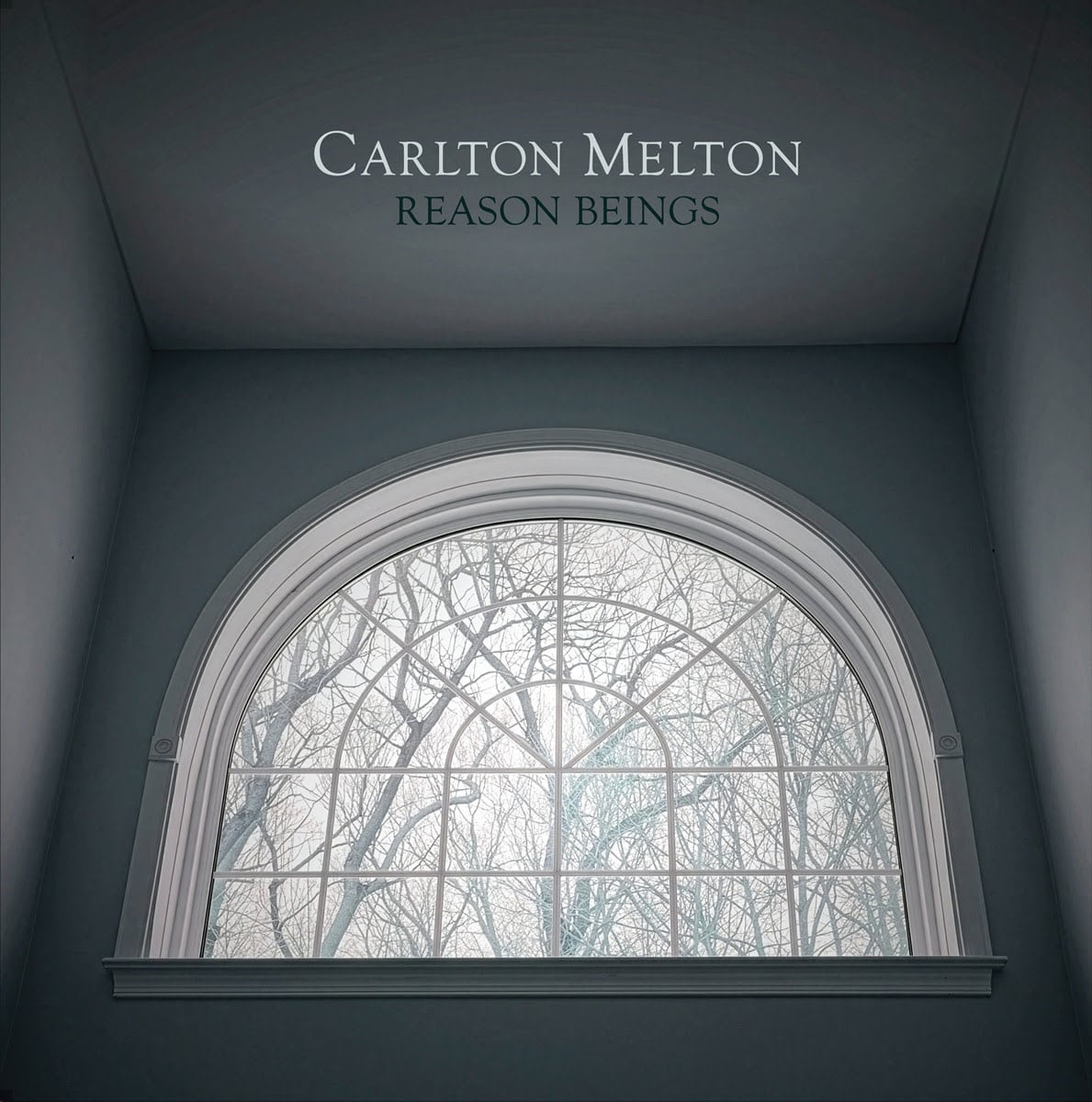 Agitated Records Carlton Melton - Reason Beings