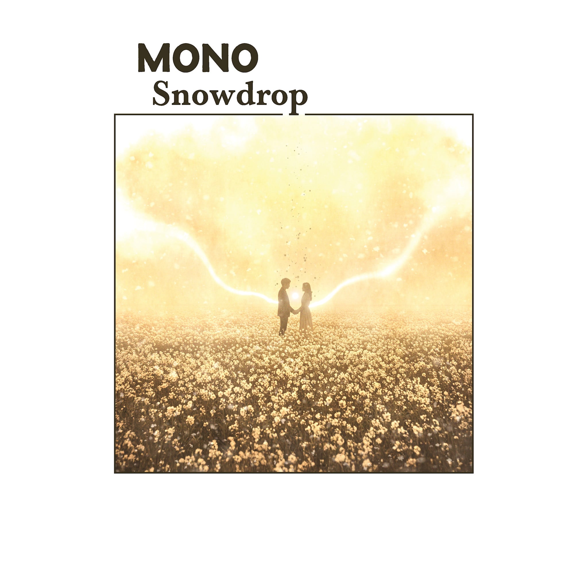 Temporary Residence Ltd. MONO - Snowdrop + SIGNED PRINT