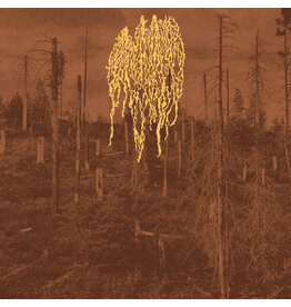 Petrozavodsk - Forest Fire