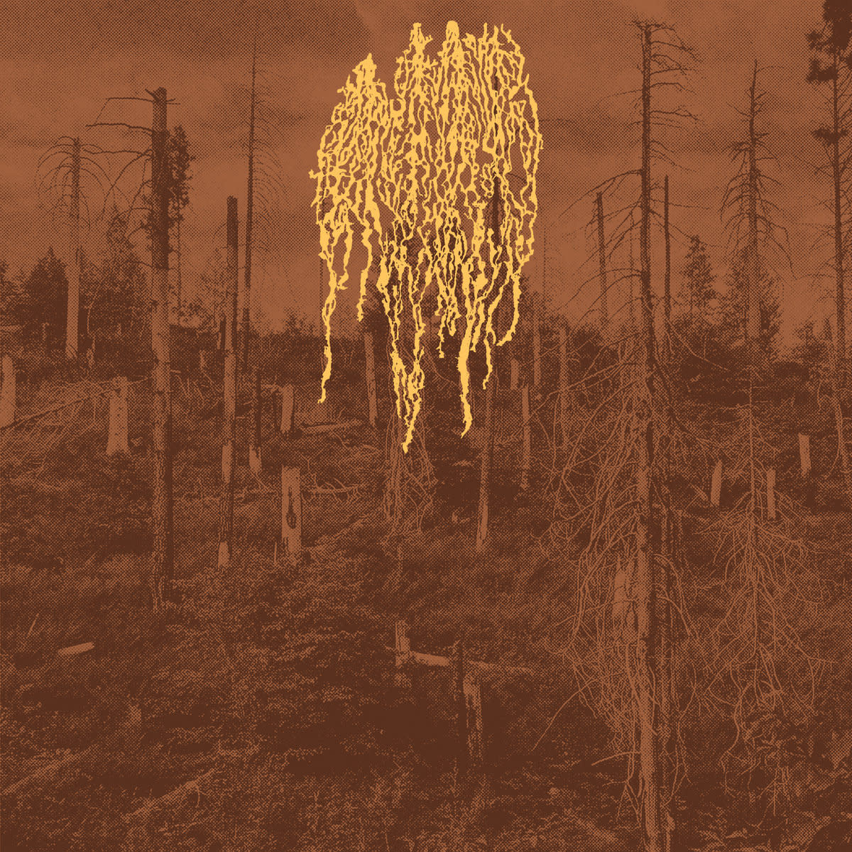 Petrozavodsk - Forest Fire