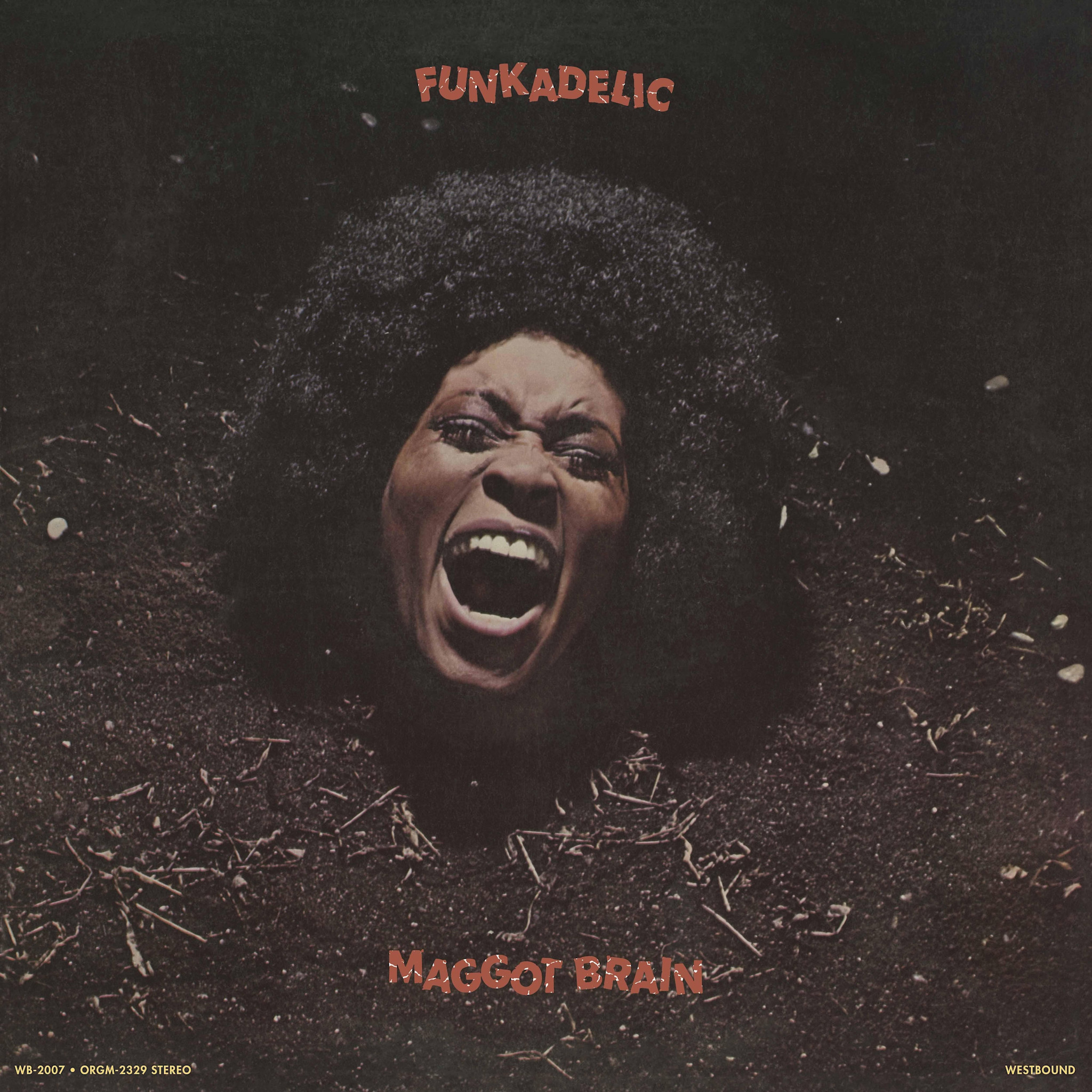 ORG Music Funkadelic - Maggot Brain