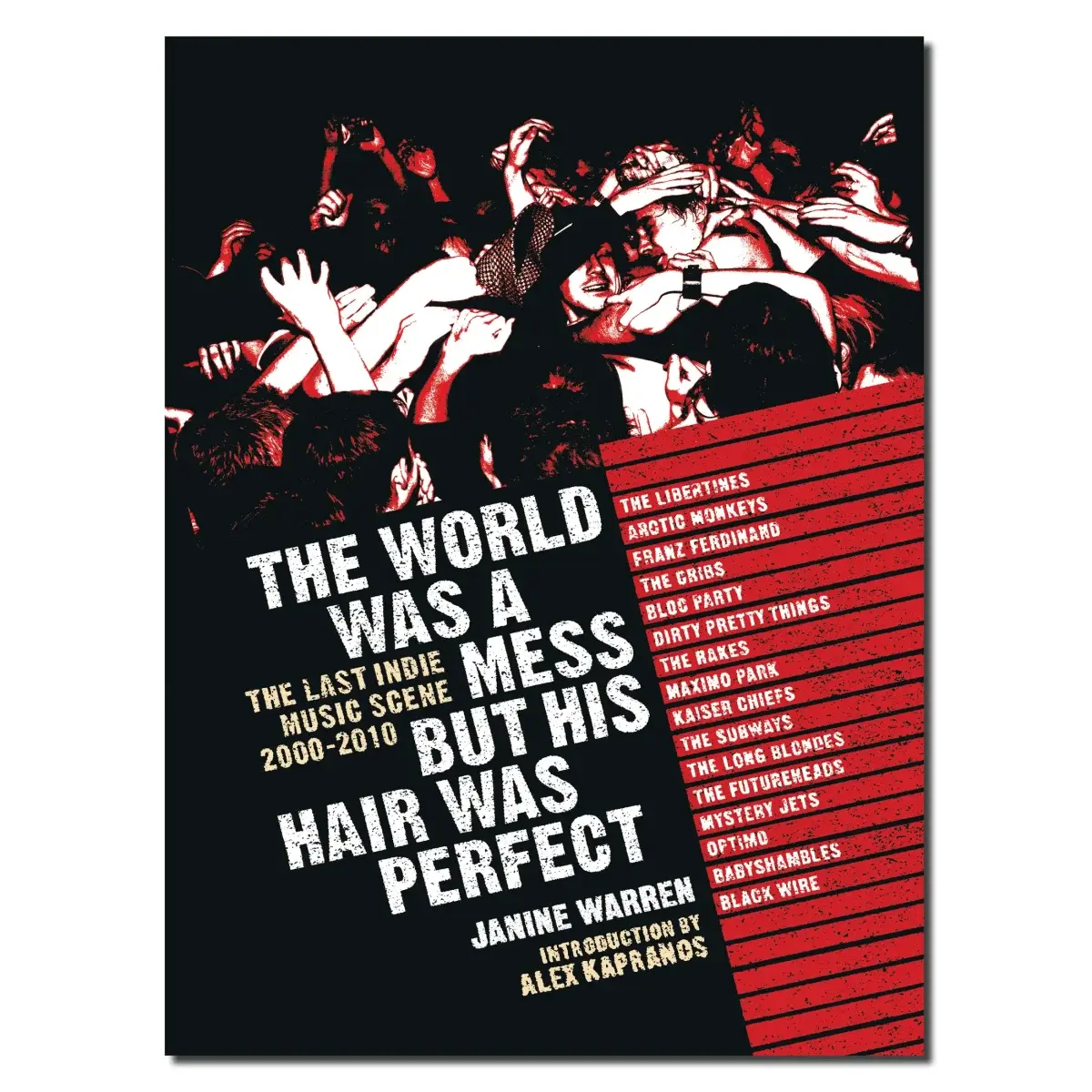 The World Was A Mess But His Hair Was Perfect: The Last Indie Music Scene 2000-2010 by Janine Warren + SIGNED FANZINE