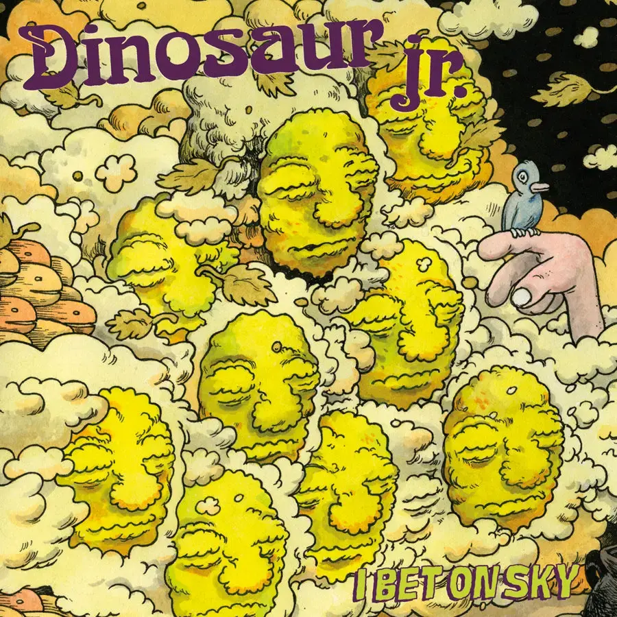Jagjaguwar Dinosaur Jr. - I Bet On Sky
