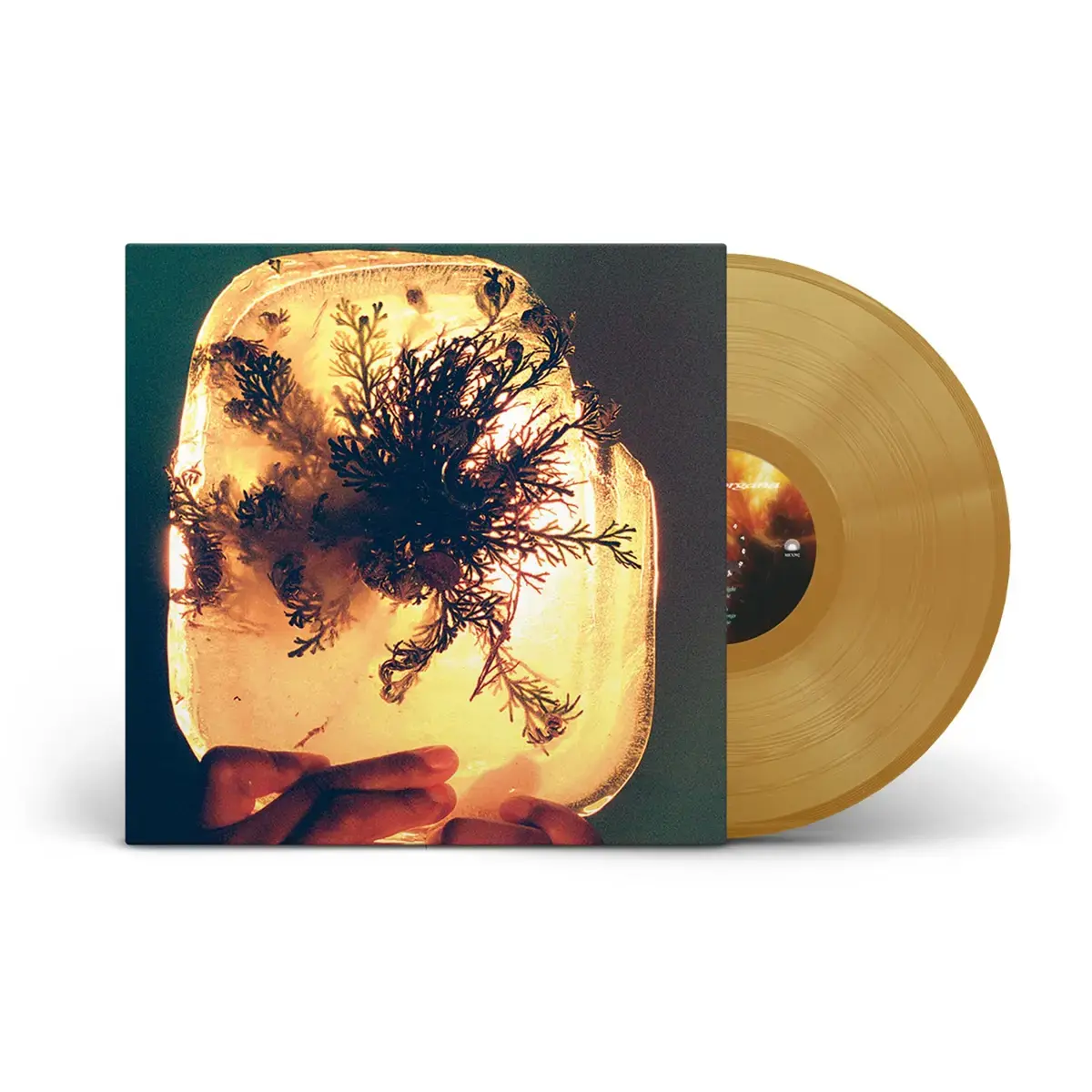 Mexican Summer L'Rain - fata morgana (Rose of Jericho Glow Vinyl)