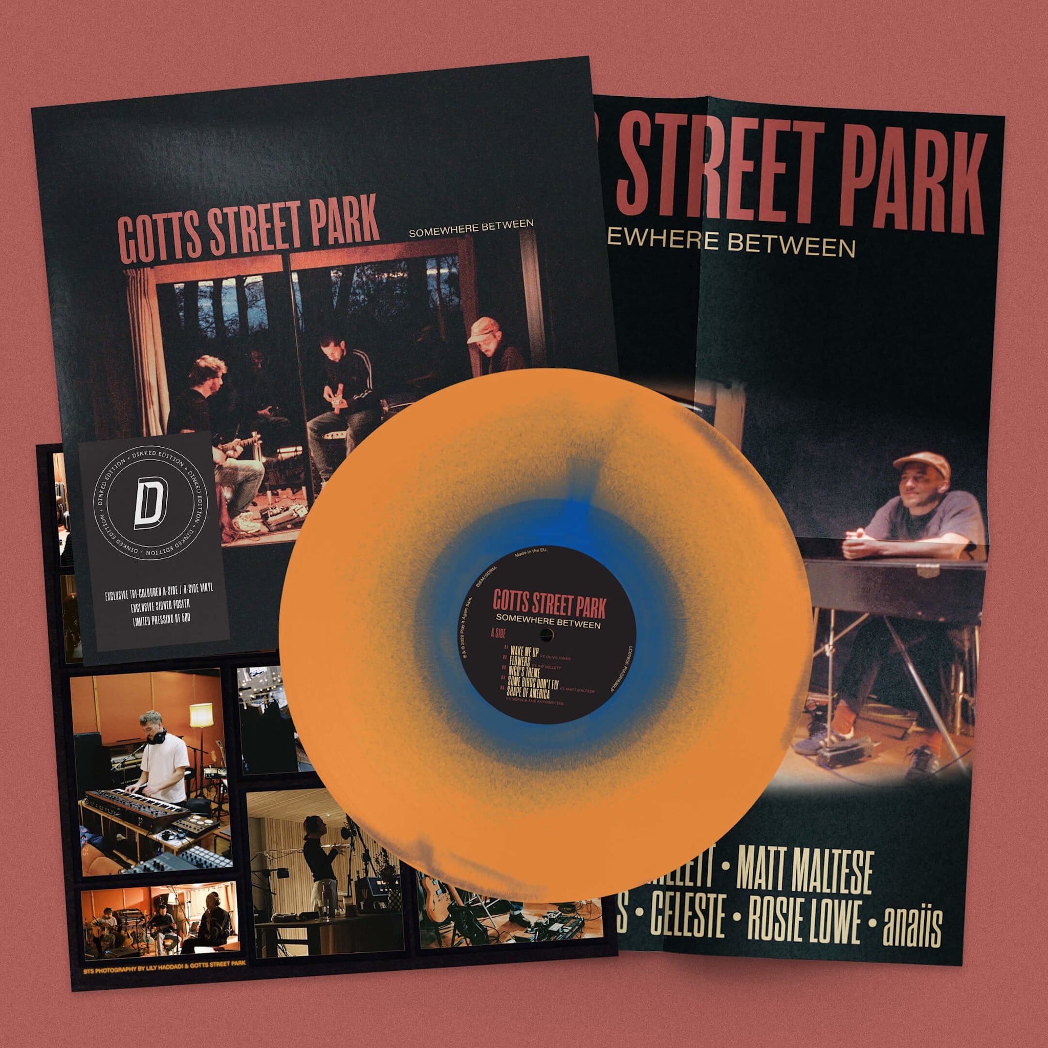Play It Again Sam SIGNED Gotts Street Park - Somewhere Between (Dinked Edition)