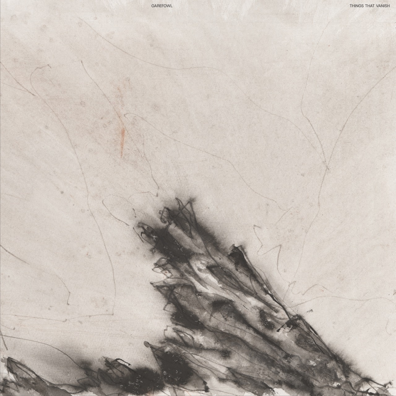 AD 93 Garefowl - Things That Vanish