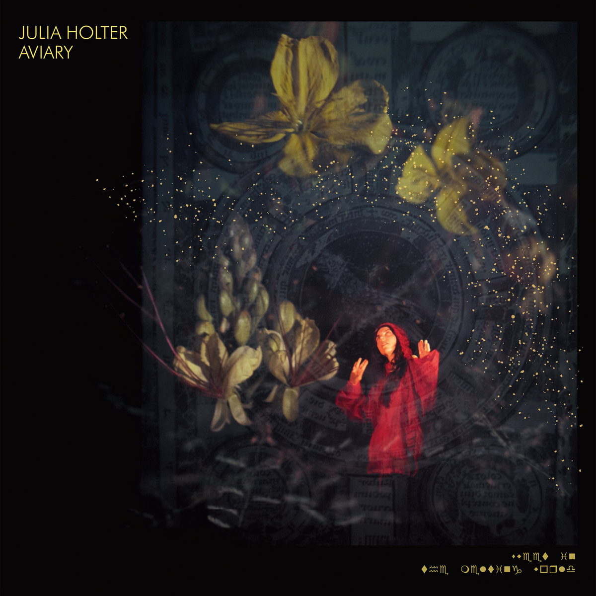 Domino Records Julia Holter - Aviary