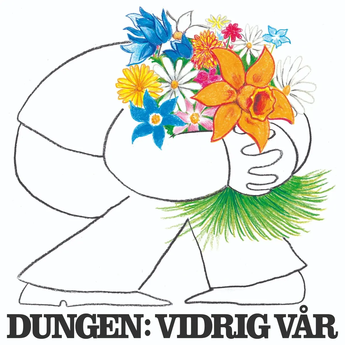Skolhaus Dungen - Vidrig Var