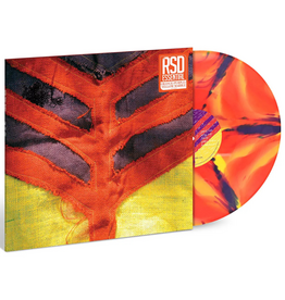 Interscope Records Yeah Yeah Yeahs - Show Your Bones (Orange/Yellow/Purple Marble Vinyl)