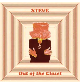 Dark Entries Steve - Out Of The Closet