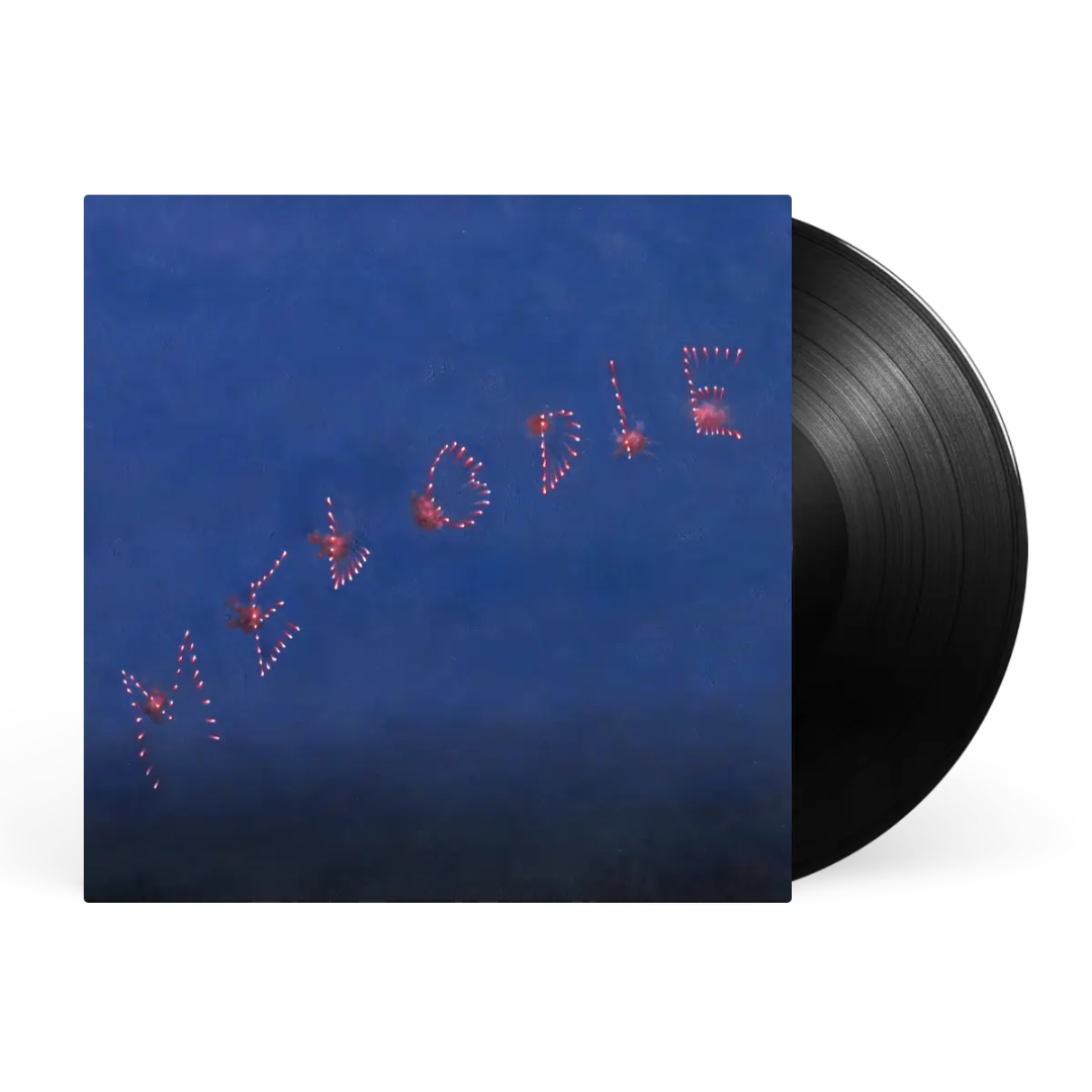 Anti Records Slow Pulp - Melodie